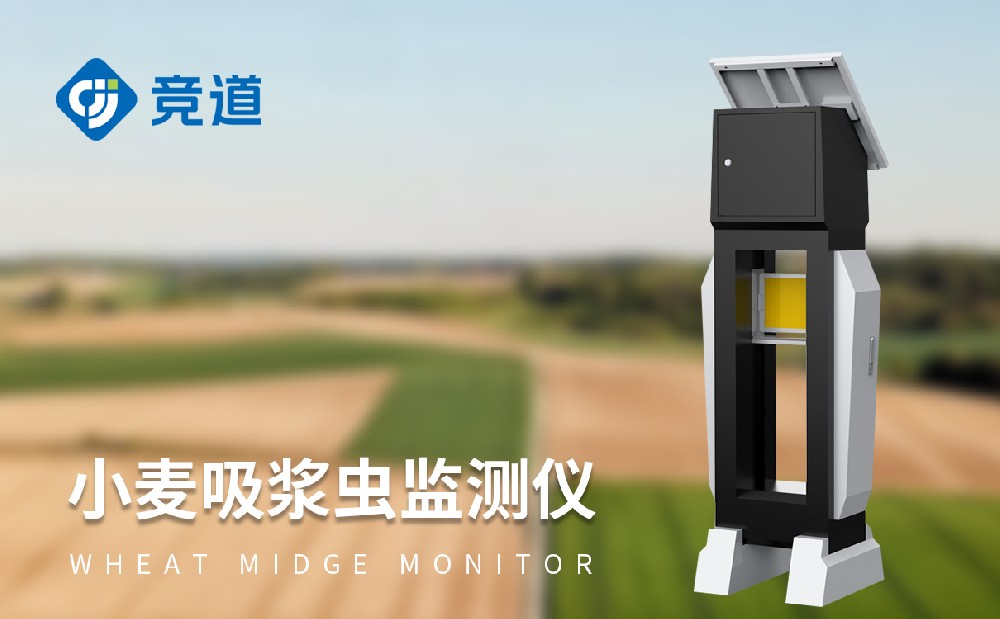 小麥吸漿蟲監測儀 小麥吸漿蟲監測儀