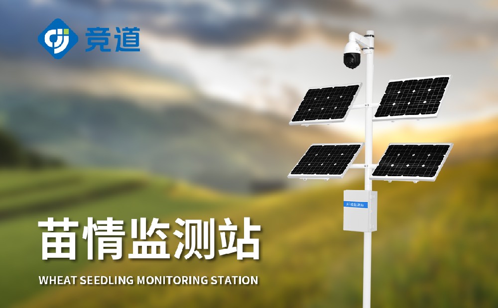 苗情監測站 苗情監測站