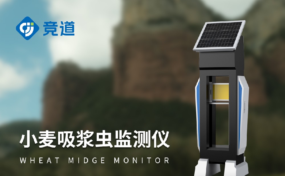小麥吸漿蟲監測儀 小麥吸漿蟲監測儀