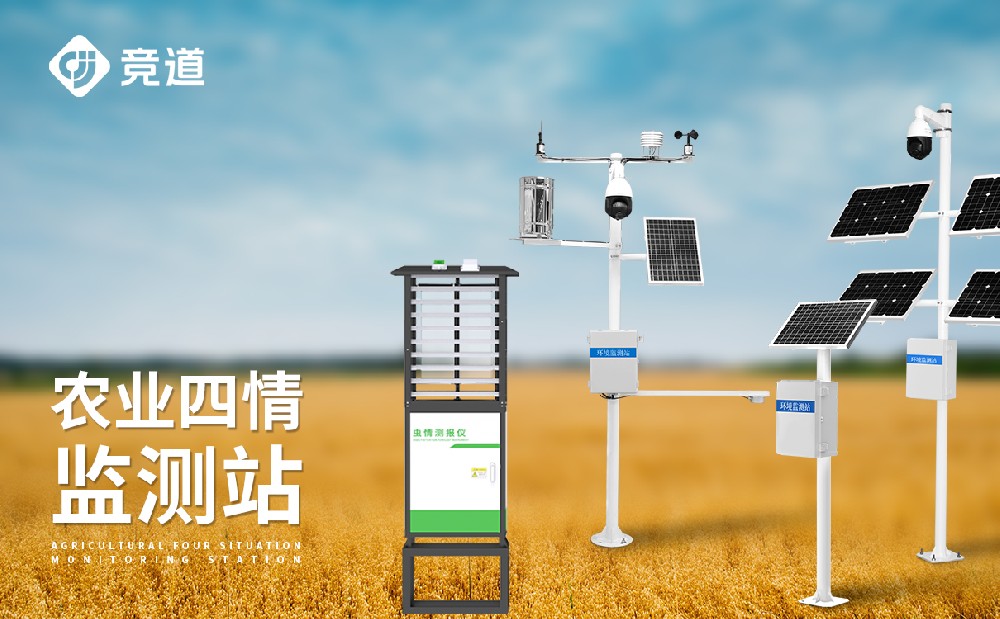 1702369617161940.jpg 3.jpg